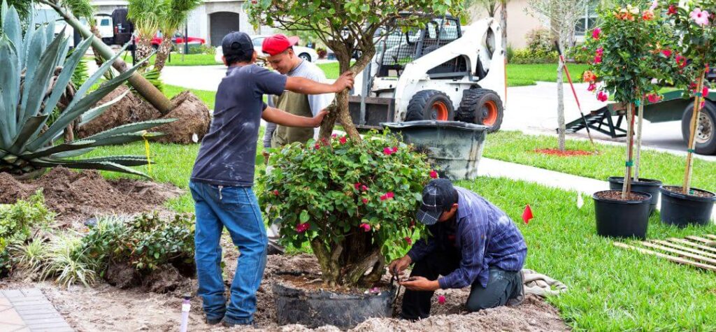 Yard Work